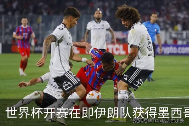 世界杯开赛在即伊朗队获得墨西哥签证 计划启程前往驻地